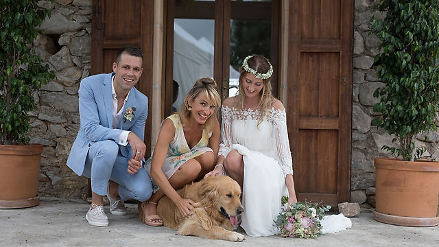 Wedding rings delivered by Dog